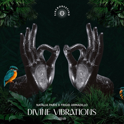 Frigid Armadillo & Natalia Paris - Divine Vibrations [SD19]